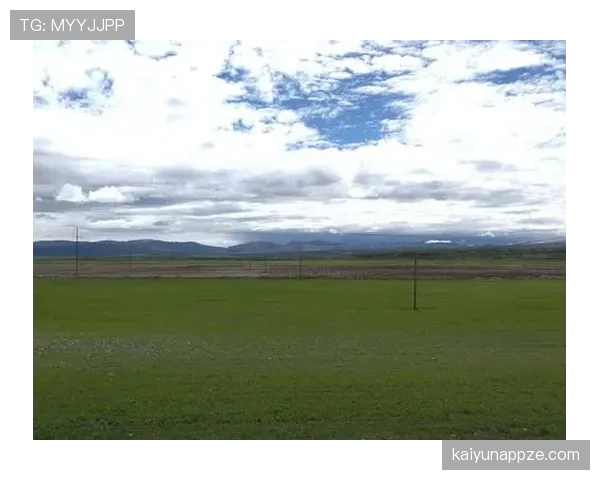 人工草场影响比赛判罚吗？FIFA规则如何规定场地材质